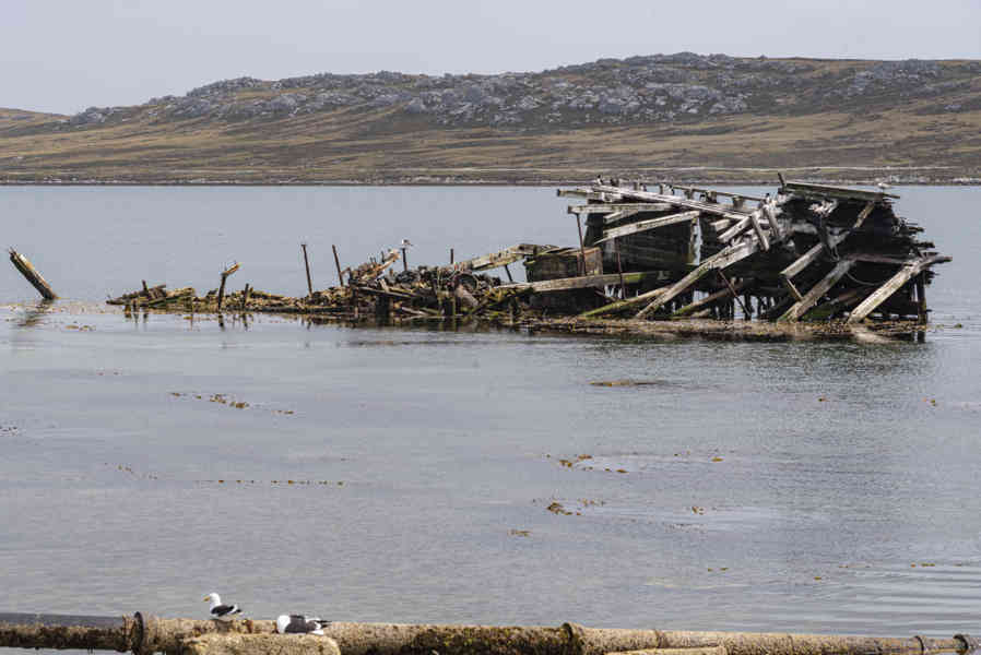 Islas Falkland o Malvinas 039 - Port Stanley - Jhelum shipwreck.jpg